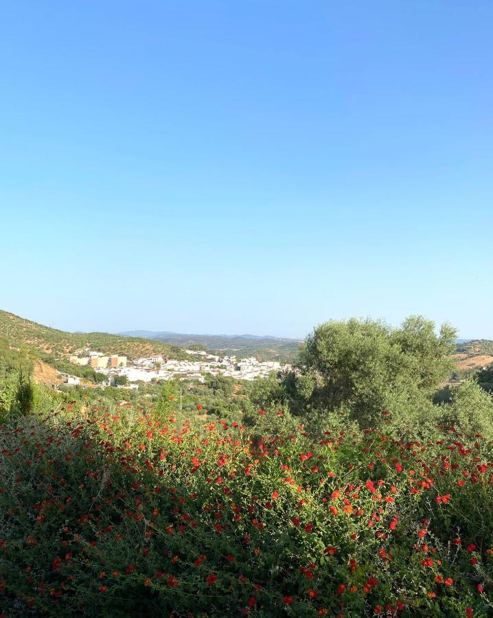 Apartmán El Molino De La Quinta Constantina Exteriér fotografie