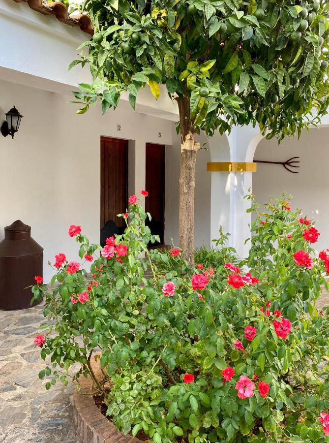 Apartmán El Molino De La Quinta Constantina Exteriér fotografie