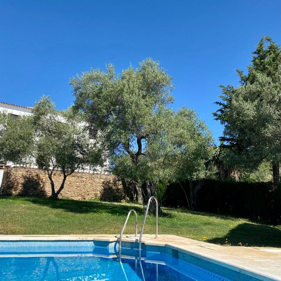 Apartmán El Molino De La Quinta Constantina Exteriér fotografie