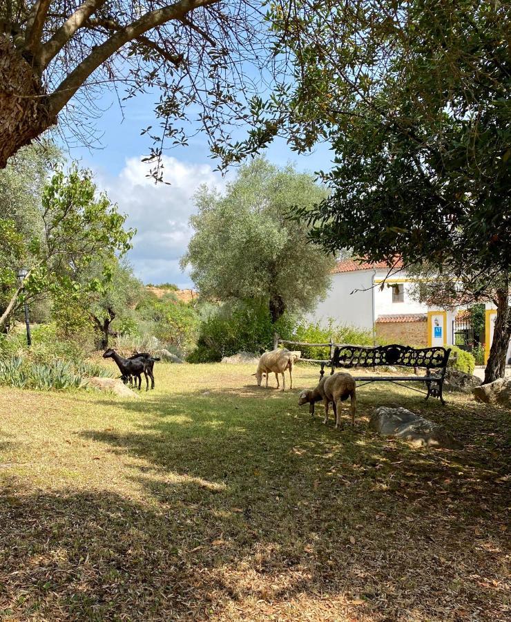 Apartmán El Molino De La Quinta Constantina Exteriér fotografie